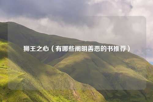 狮王之心（有哪些阐明善恶的书推荐）