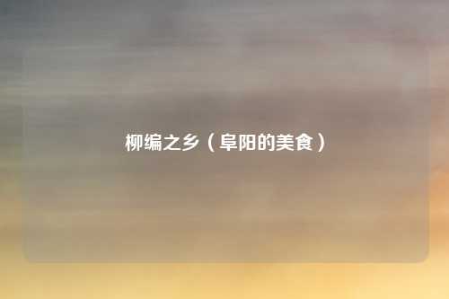 柳编之乡（阜阳的美食）