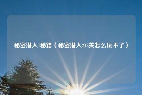 秘密潜入1秘籍（秘密潜入213关怎么玩不了）