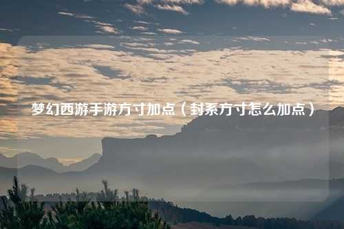 梦幻西游手游方寸加点（封系方寸怎么加点）