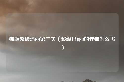 猫版超级玛丽第三关（超级玛丽3的狸猫怎么飞）