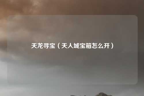 天龙寻宝（天人城宝箱怎么开）