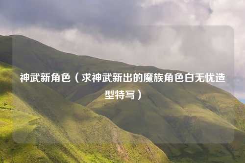 神武新角色(求神武新出的魔族角色白无忧造型特写)