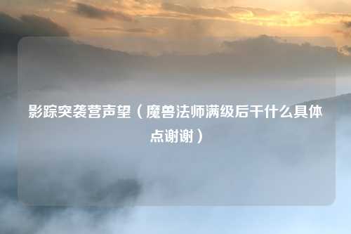 影踪突袭营声望(魔兽法师满级后干什么具体点谢谢)