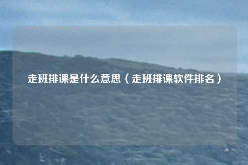 走班排课是什么意思（走班排课软件排名）
