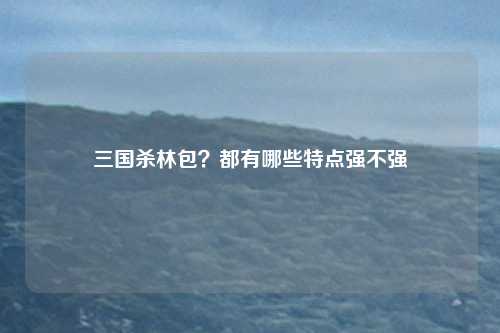 三国杀林包？都有哪些特点强不强