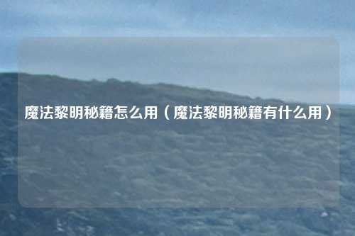 魔法黎明秘籍怎么用（魔法黎明秘籍有什么用）