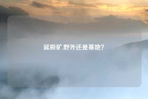 延极矿,野外还是基地？