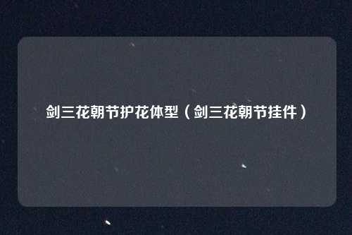 剑三花朝节护花体型（剑三花朝节挂件）