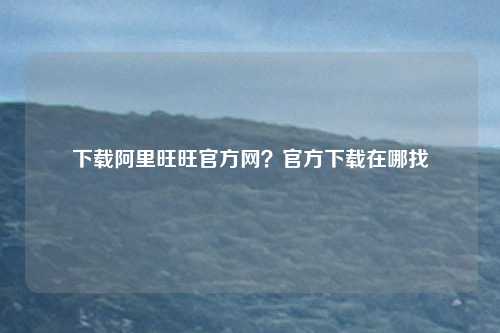 下载阿里旺旺官方网？官方下载在哪找