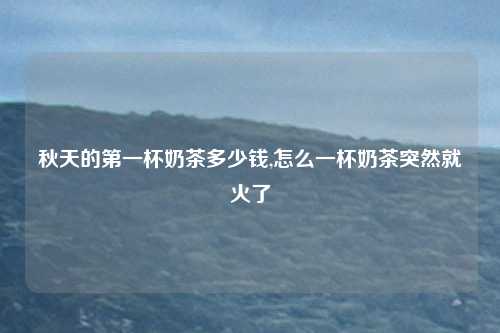 秋天的第一杯奶茶多少钱,怎么一杯奶茶突然就火了