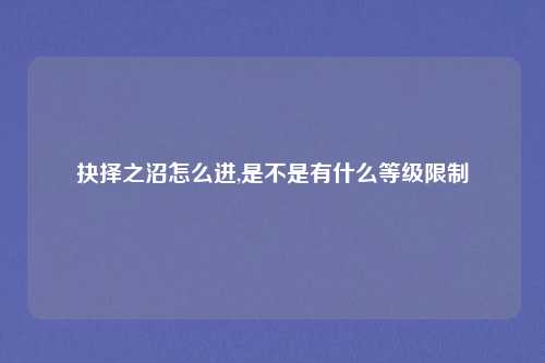 抉择之沼怎么进,是不是有什么等级限制