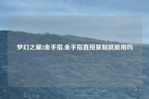 梦幻之星2金手指,金手指直接复制就能用吗