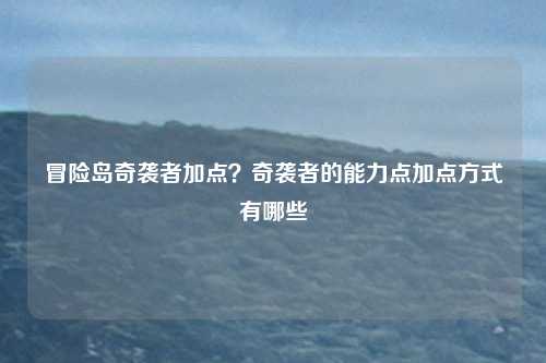 冒险岛奇袭者加点？奇袭者的能力点加点方式有哪些