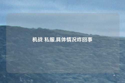 机战 私服,具体情况咋回事
