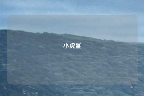 小虎鲨