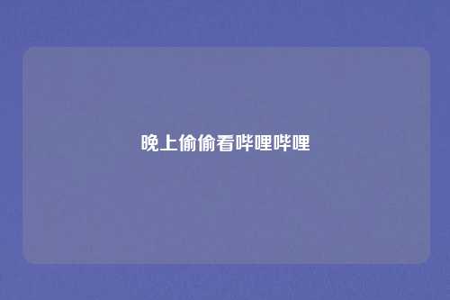 晚上偷偷看哔哩哔哩