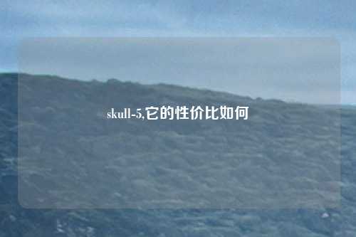 skull-5,它的性价比如何