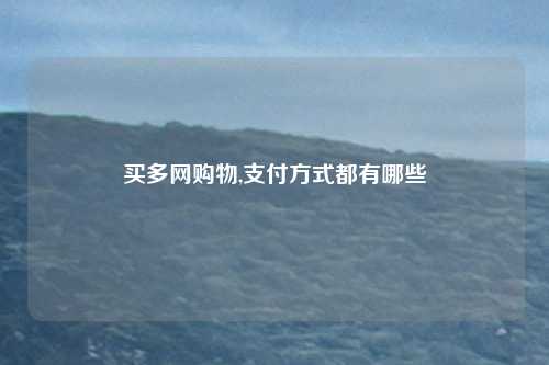 买多网购物,支付方式都有哪些