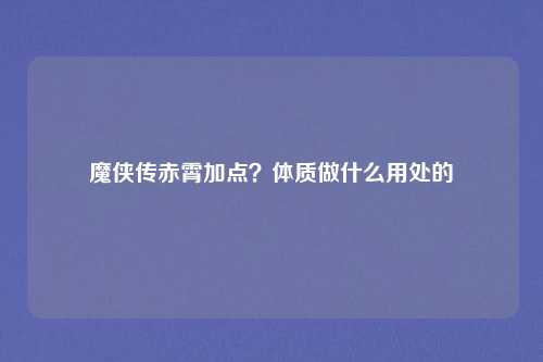 魔侠传赤霄加点？体质做什么用处的