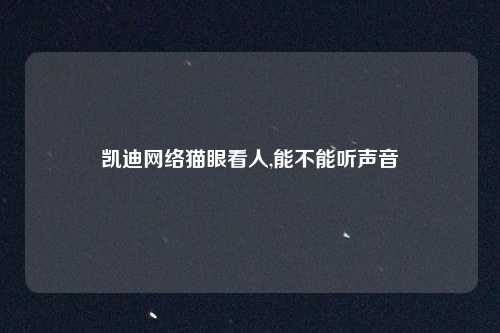 凯迪网络猫眼看人,能不能听声音