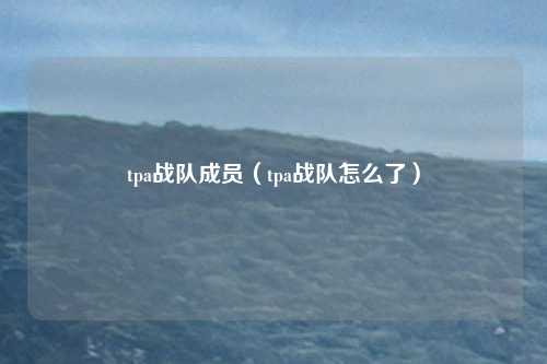 tpa战队成员（tpa战队怎么了）