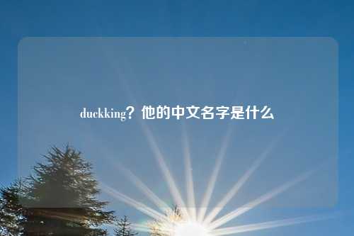 duckking？他的中文名字是什么