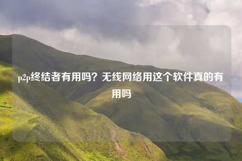 p2p终结者有用吗？无线网络用这个软件真的有用吗