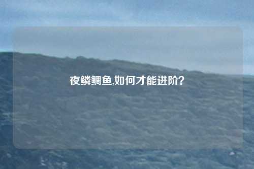 夜鳞鲷鱼,如何才能进阶？