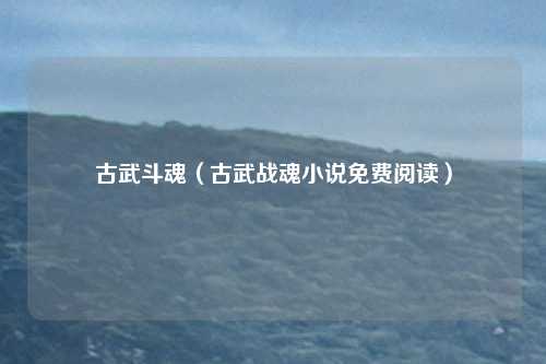 古武斗魂（古武战魂小说免费阅读）