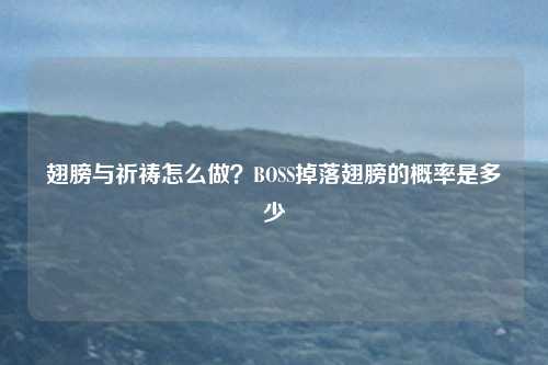 翅膀与祈祷怎么做？BOSS掉落翅膀的概率是多少