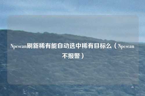 Npcscan刷新稀有能自动选中稀有目标么（Npcscan不报警）