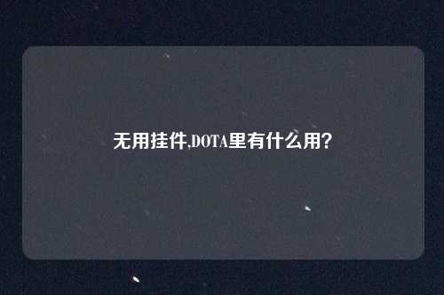 无用挂件,DOTA里有什么用？