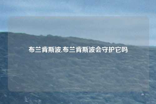 布兰肯斯波,布兰肯斯波会守护它吗