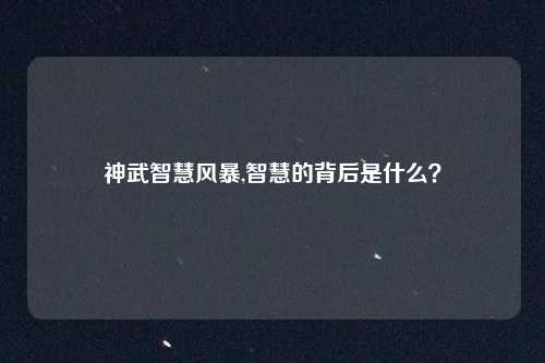 神武智慧风暴,智慧的背后是什么？