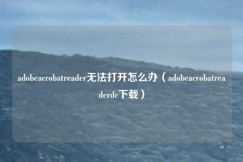 adobeacrobatreader无法打开怎么办（adobeacrobatreaderdc下载）
