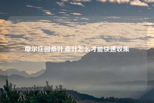 摩尔庄园桑叶,桑叶怎么才能快速收集