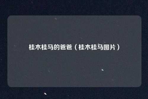 桂木桂马的爸爸（桂木桂马图片）