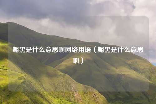 媚黑是什么意思啊网络用语（媚黑是什么意思啊）