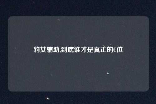 豹女辅助,到底谁才是真正的C位