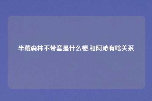 半藏森林不带套是什么梗,和阿沁有啥关系