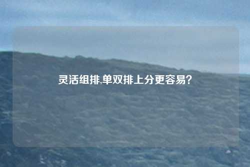 灵活组排,单双排上分更容易？