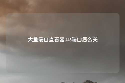 大鱼端口查看器,445端口怎么关