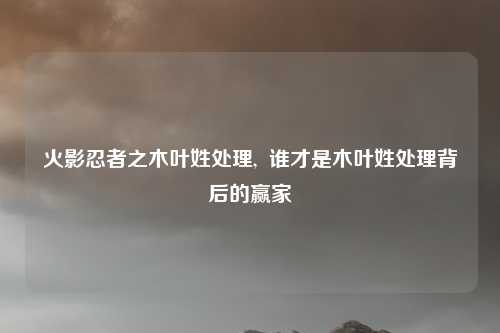 火影忍者之木叶姓处理,  谁才是木叶姓处理背后的赢家