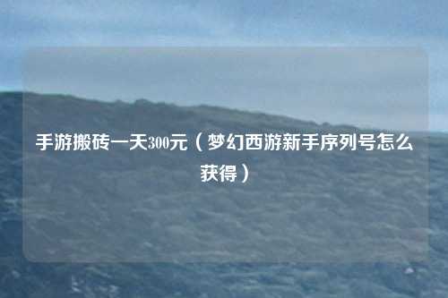 手游搬砖一天300元（梦幻西游新手序列号怎么获得）