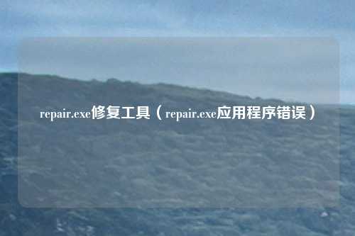 repair.exe修复工具（repair.exe应用程序错误）