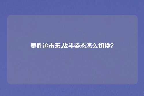 乘胜追击宏,战斗姿态怎么切换？