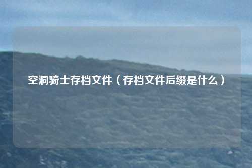 空洞骑士存档文件（存档文件后缀是什么）