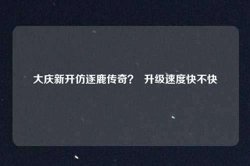 大庆新开仿逐鹿传奇？  升级速度快不快