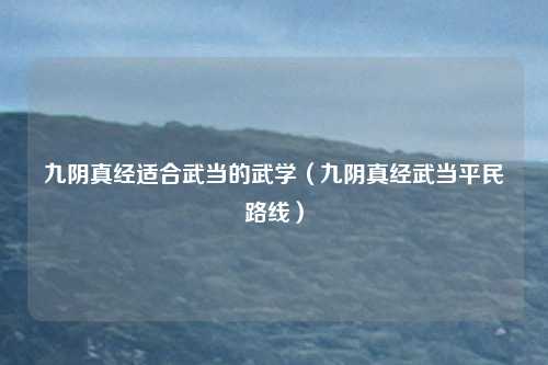 九阴真经适合武当的武学（九阴真经武当平民路线）